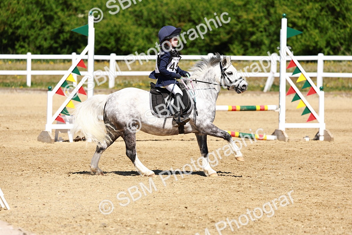 SBM_007280 - Class 3 - 60cm