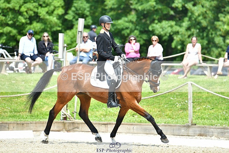 230525-113051-04041 - 201-JAEGER_MASTER-Tom_Woodward-WEDTrotUp+DR