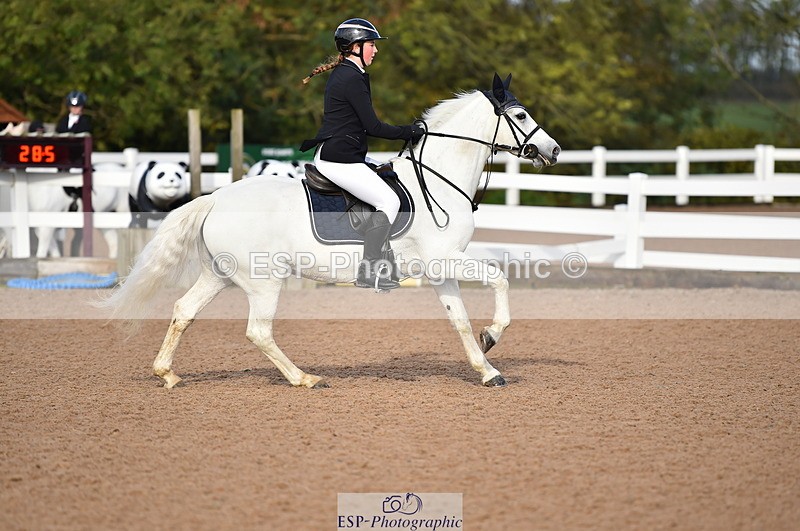 231028A-110728-00699 - Cls 2 British Novice & 80cm Open