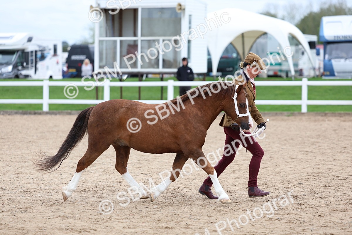 SBM_05960 - Class 29 - IH Veteran Pony