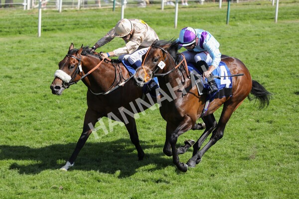 yr12062021r5-16 - Race 5 4.15pm Reg Griffin Appreciation EBFstallions.com Maiden Stakes