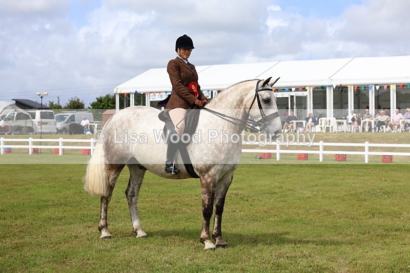 3E7A0414 - Class 6: Rising Star Maxi Cobs