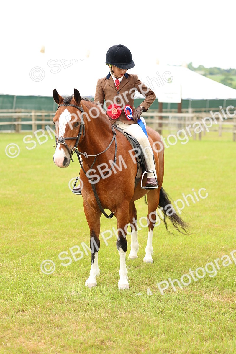 SBM_10427 - Class 44-45 - LIHS BSPS Open Nursery and Cradle Stakes