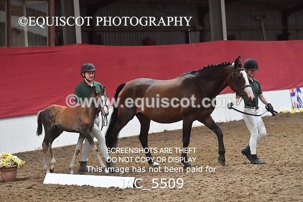 JAC_5509 - 13 Zi Real McCoy