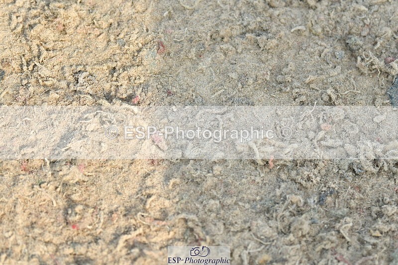 230721A-092850-04738 - Cls 26, 5 Yr Olds 1.10m