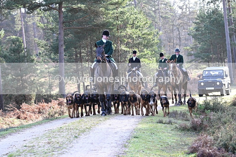 WJ7_7668 - Line 3 (no line 4 or 5)