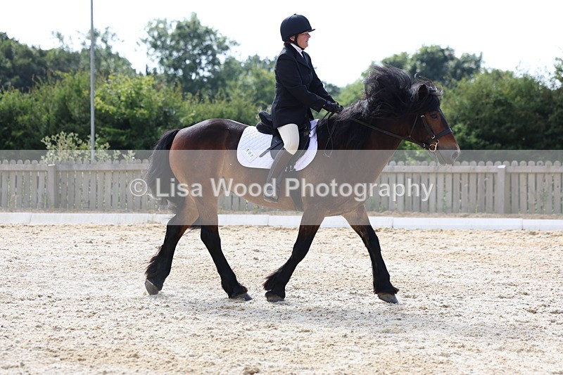 3E7A3156 - Class 1: Intro 1 2024 Section A