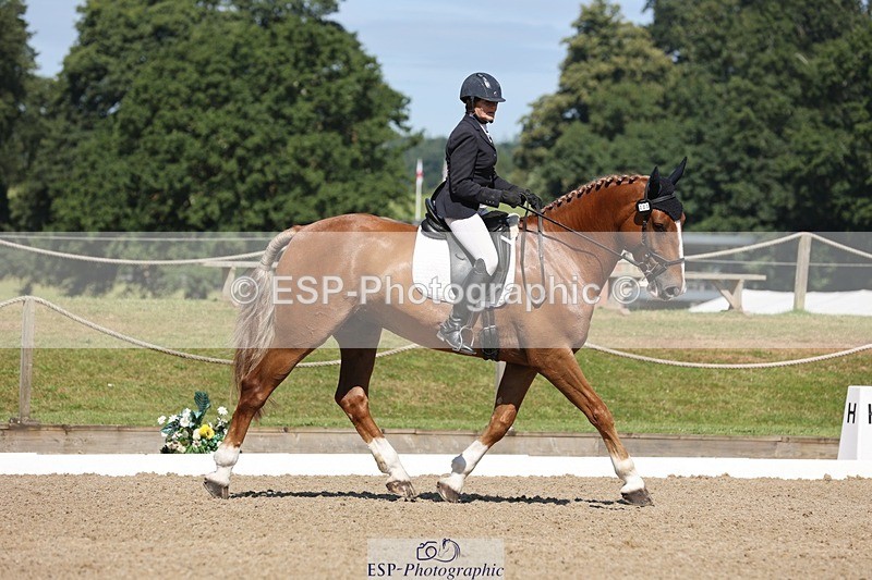240719-103706-00746 - 223-Deborah_Randall-Sandy's_Bertie