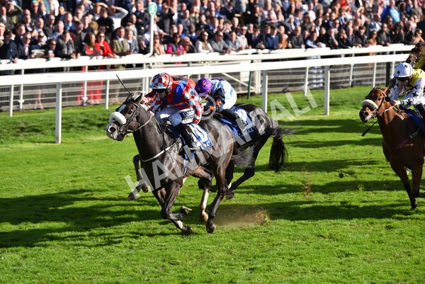 yr08102022r4-39 - Race 4 3.15pm The Coral Sprint Trophy