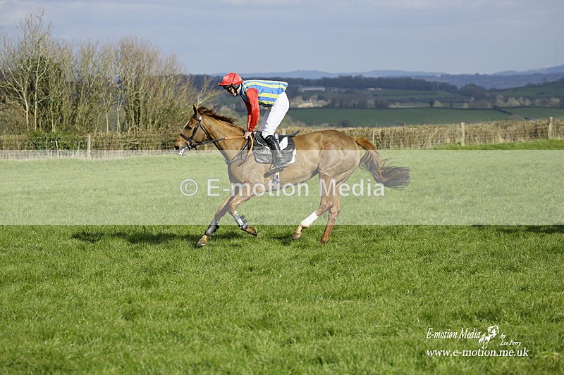 PtP 060322 436 - Blackmore & Sparkford Vale Hunt PtP 06/03/22