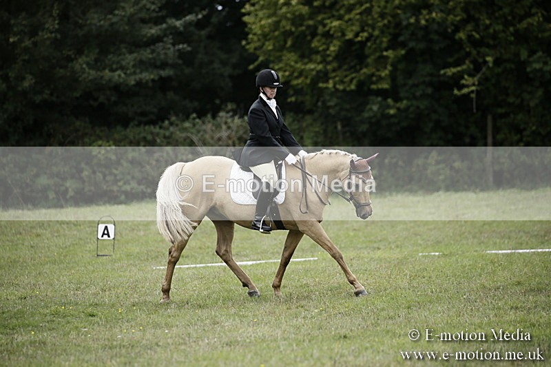 BVR080918 299 - BVRC Novice Dressage & CR 08/09/18
