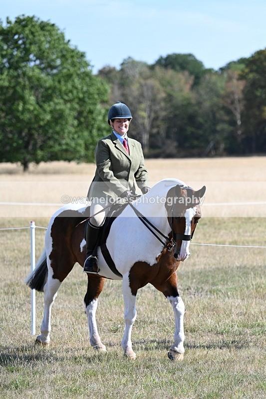 WJ7_3068 - Class 8 Ridden Tack & Turnout