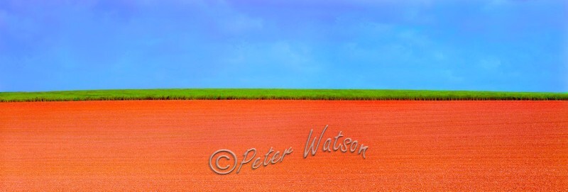 Farmland Wirral England - Elemental