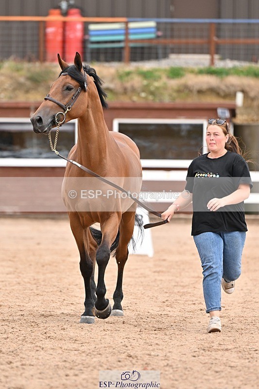 250716-152235-01888 - Trot Up 2.30 to 3.30