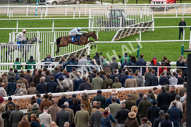 110325-Race 4-Jade De Grugy-6513 - 11th March