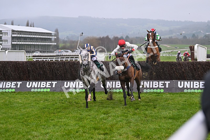 131224-Race 4-King Turgeon-9150 - Race 4