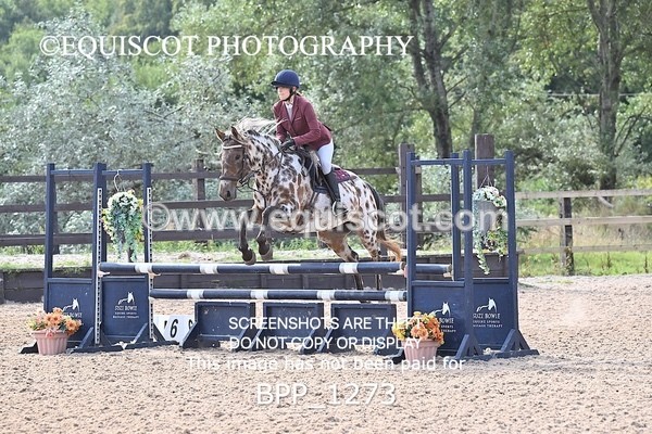 BPP_1273 - CLASS 3 Senior BritiNovice/ 90cm Open