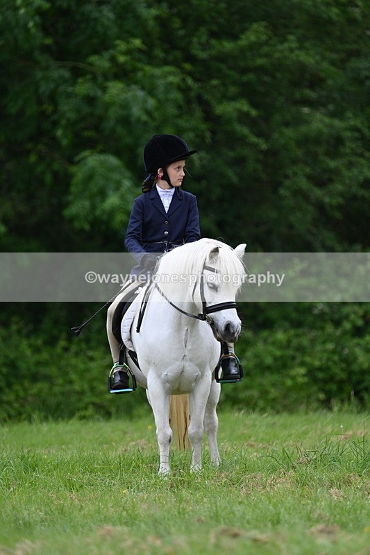 WJ7_4551 - Class 14B Prettiest Mare