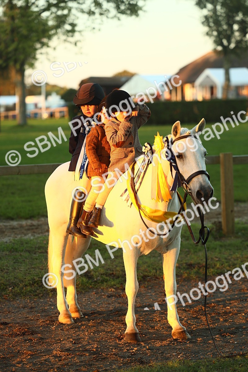 SBM_56748 - Fun & Versatile Supreme Championship