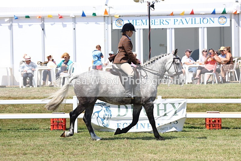 3E7A8200 - Class 9A: Open Small Hunter