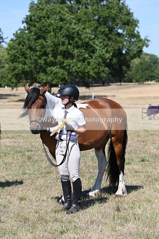 WJ6_8719 - Class 37b Best Loan Pony In-hand