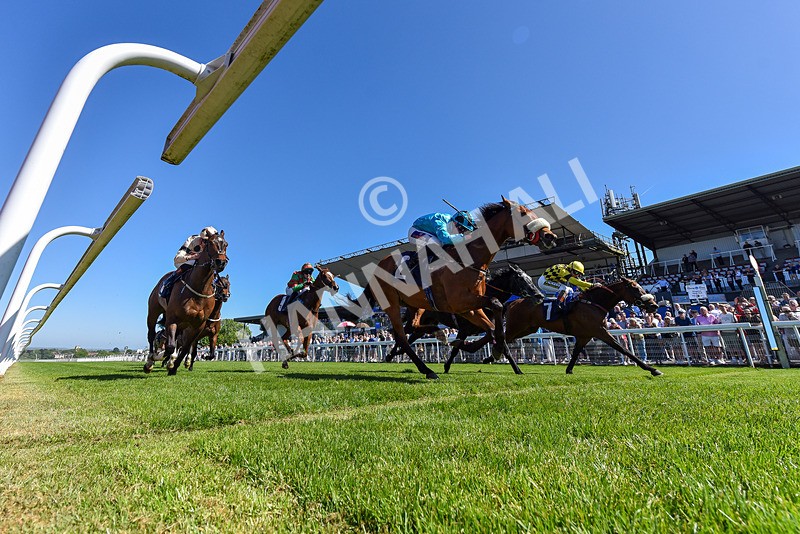 130525-Race 3-Ingleby Archie-1903 - Race 3