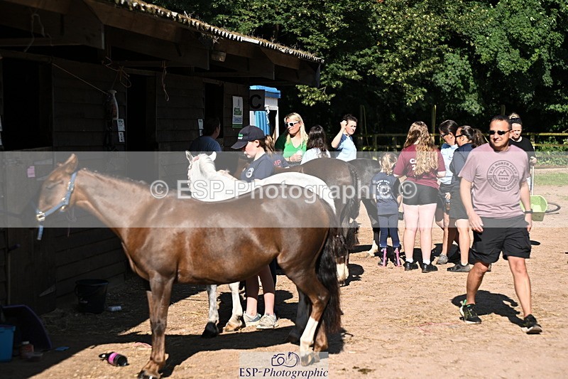 240729B-091800-01768 - Monday Stable Shots
