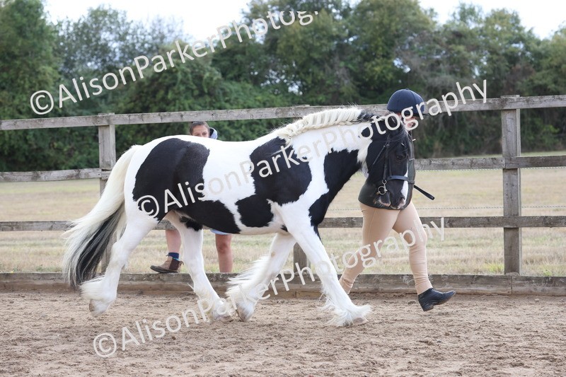 20260831-2156 - Class 7 - Best Coloured