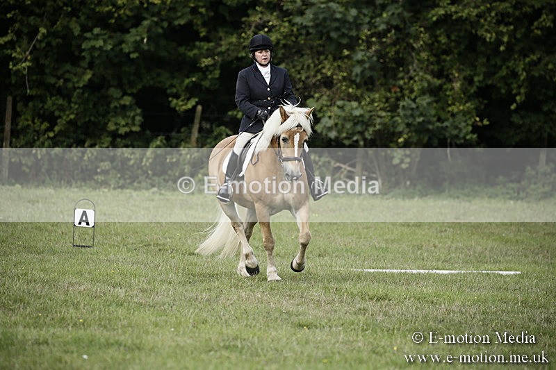 BVR090918 64 - BVRC Dressage and Show Jumping 09/09/18
