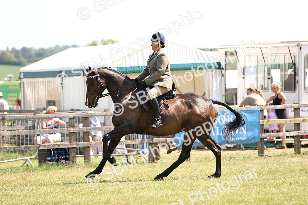 SBM_14931 - Class 78 - LIHS BSHA Open Racehorse & Show Horse