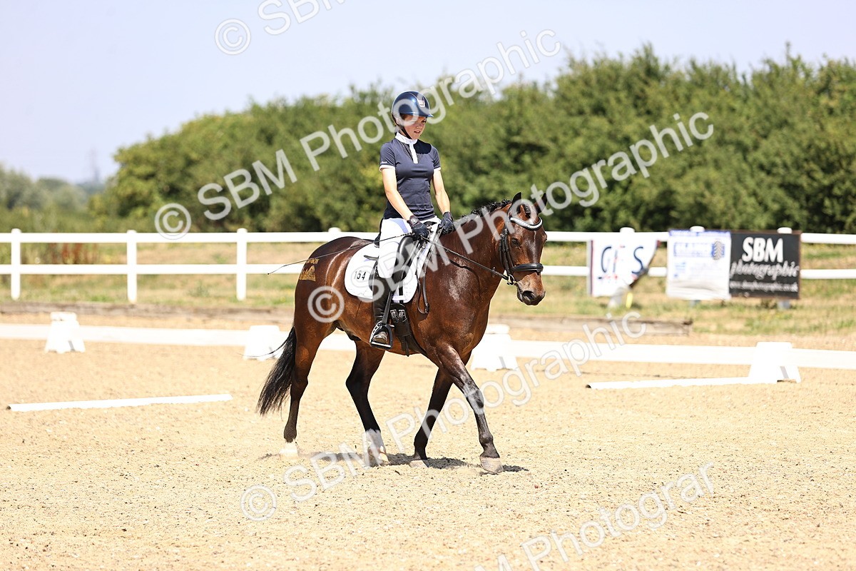 SBM_003912 - Intro 2