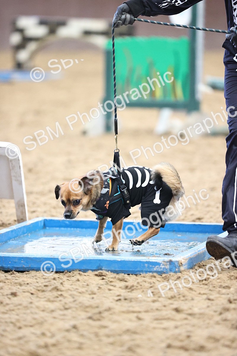 SBM_001592 - Class 3 - Horse & Hound 60cm