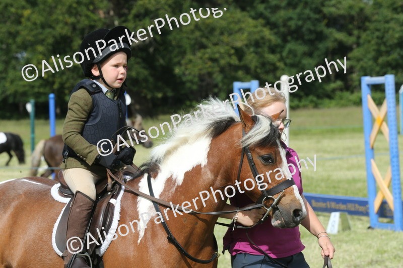 20260614-0144 - Class 1 - 30cm Lead Rein