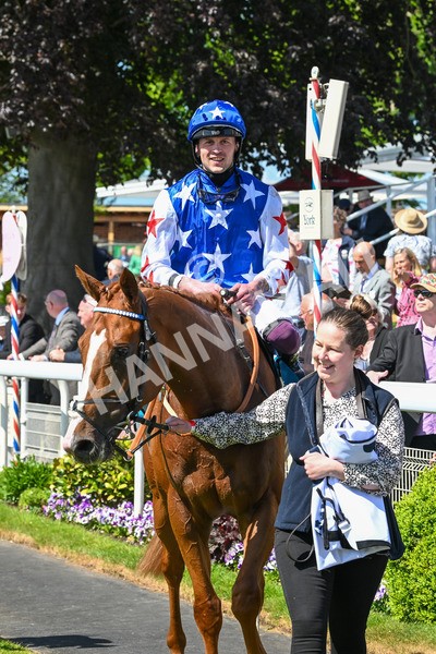 160525-Race 2-Thunder Run-6310 - Race 2 2.42pm Knights Solicitors Handicap