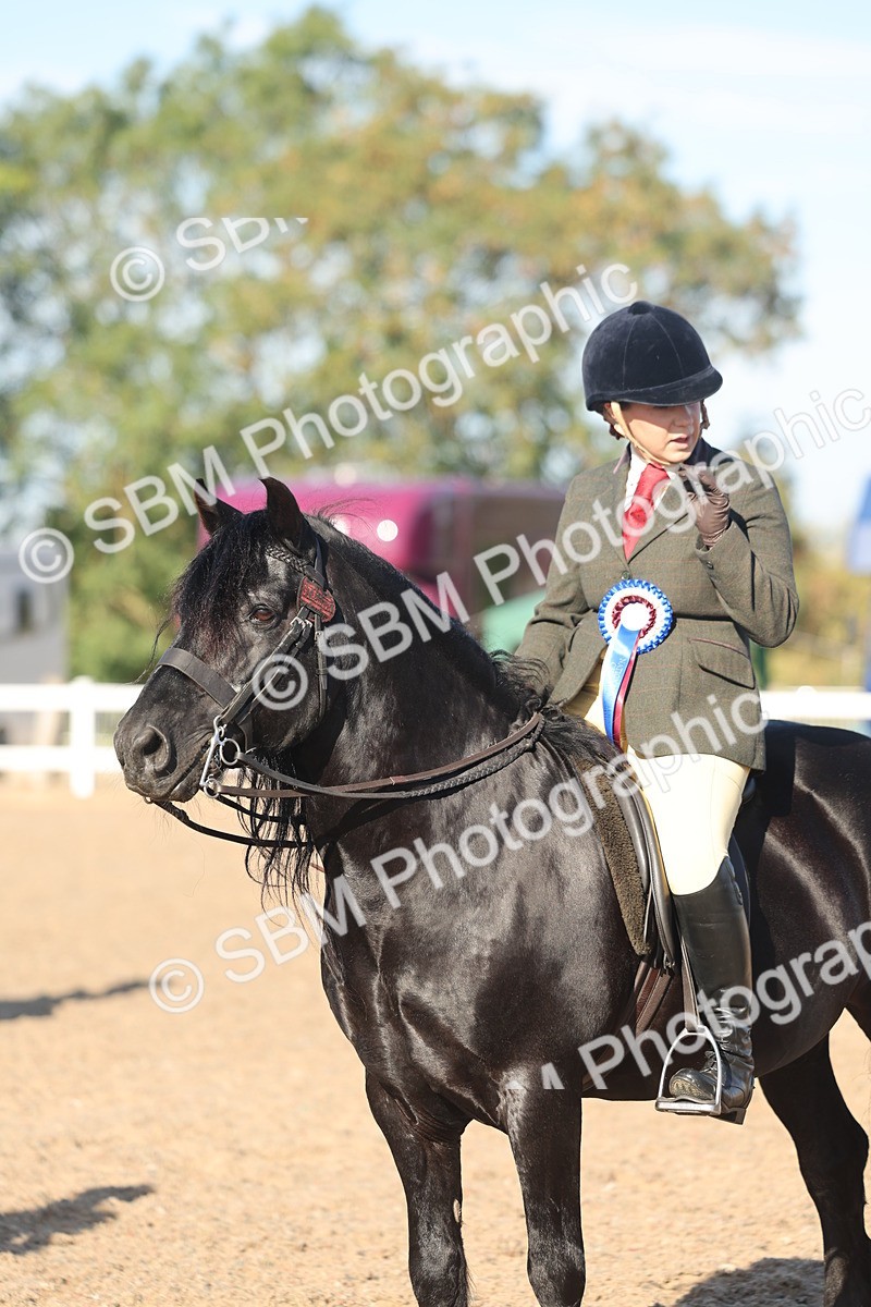 SBM_11118 - Class 302 - Ridden M&M Large Breeds