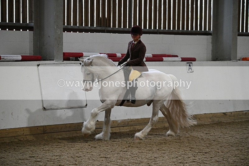 WJ7_4190 - Class 17 Ridden Cob
