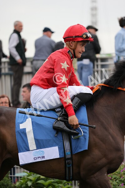 yr19082021r5-11 - Race 5 4.10pm OR8wellness ebfstallions Nursery Handicap