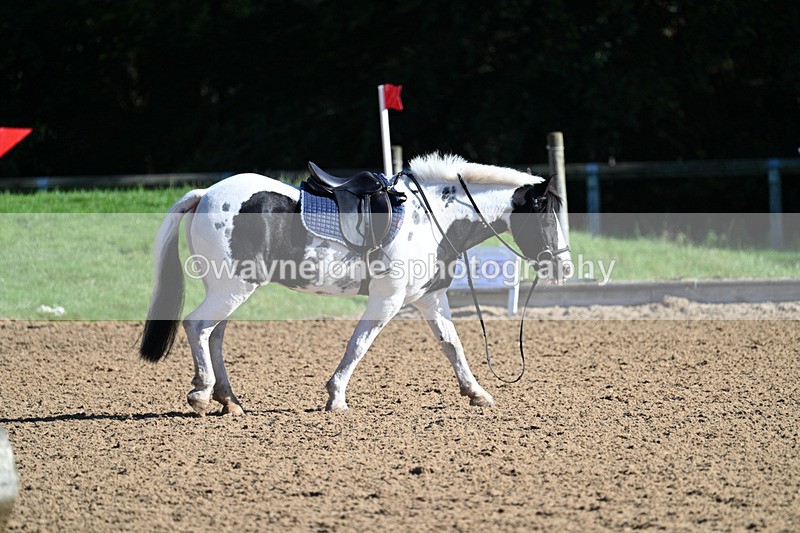 WJ7_1276 - Time 10:39 to 11:18