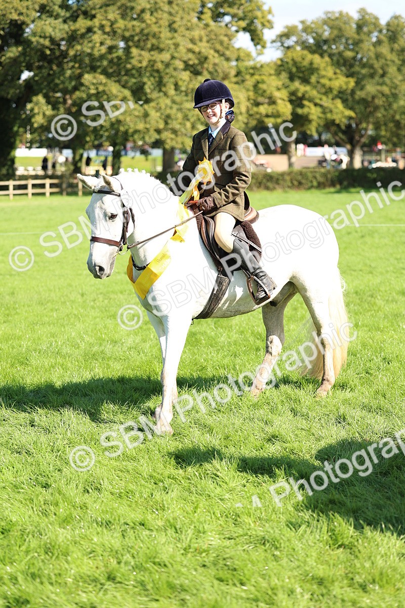 SBM_45444 - S33 - Working Hunter Pony