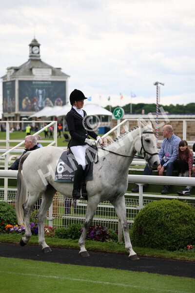 yr22052022r8e-98 - ROR - Parade Ring York