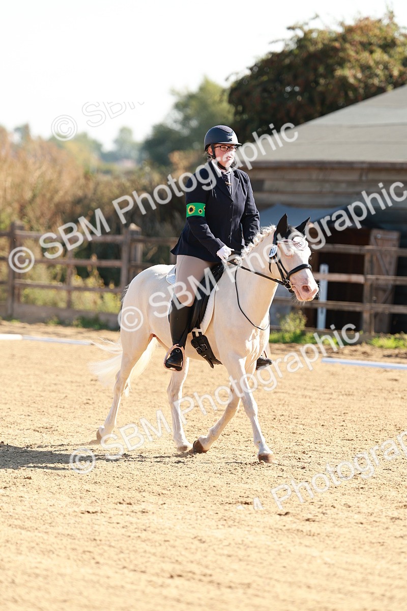 SBM_009292 - Class 2 - Intro 3