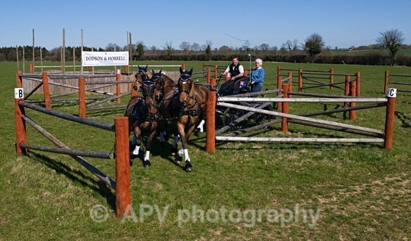 _DSC8847sml - Ashfields Carriage & Polo Club
