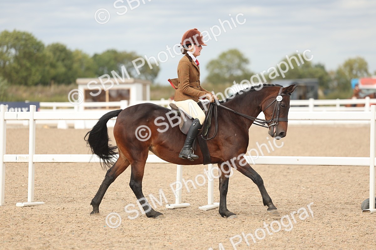 SBM_17996 - Class 314 - Family Horse Pony