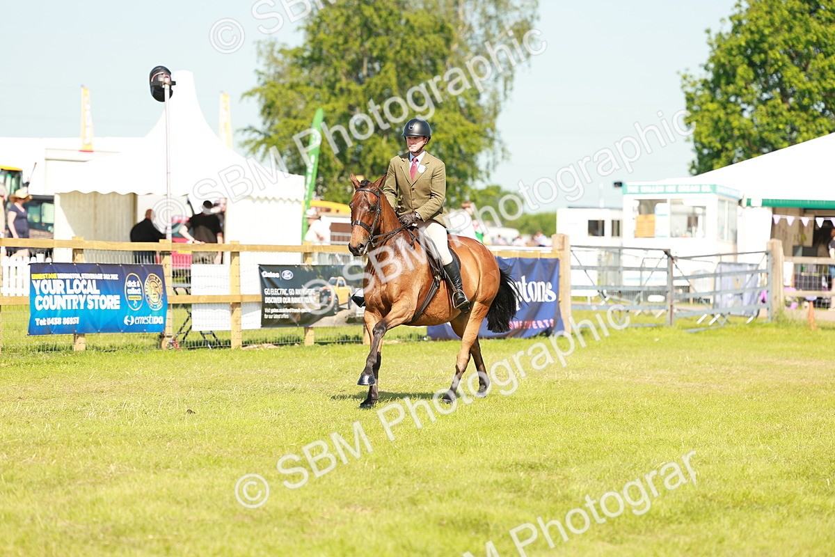 SBM_12055 - Class 66-69 - RIHS Ridden Hunters Inc Small Hunter
