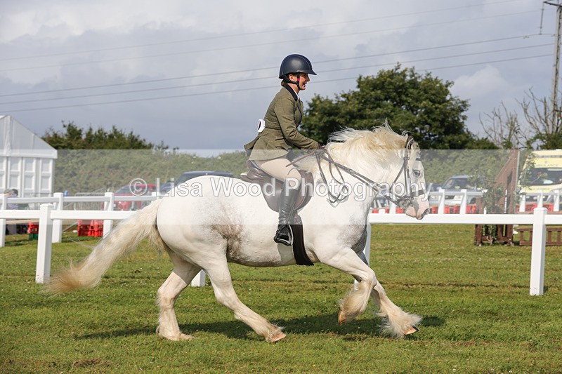 1X9A3387 - Class 28: Ridden Native/Trad Coloured Pony