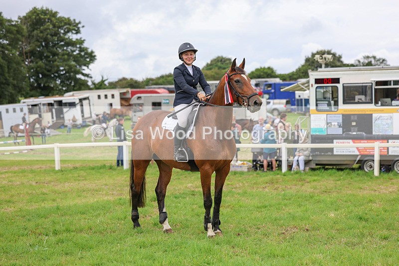 3E7A8293 - Class 7: Senior Newcomers/1.10m open