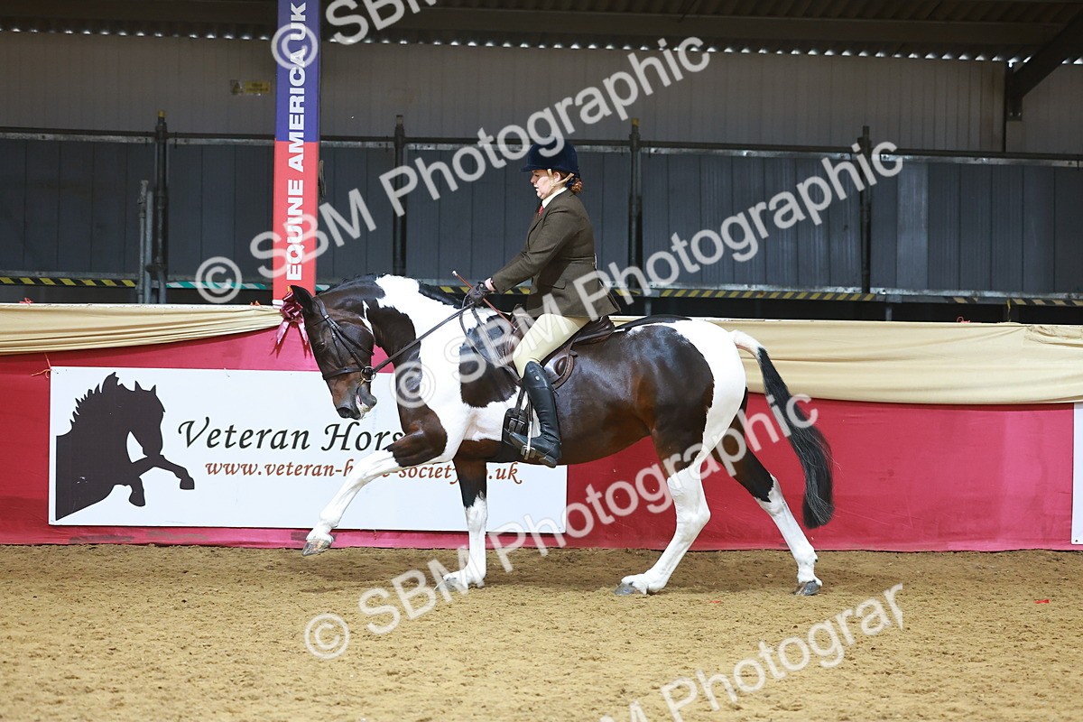 SBM_09658 - Class 102 - HOYS Veteran Qualifier - Ridden Veteran