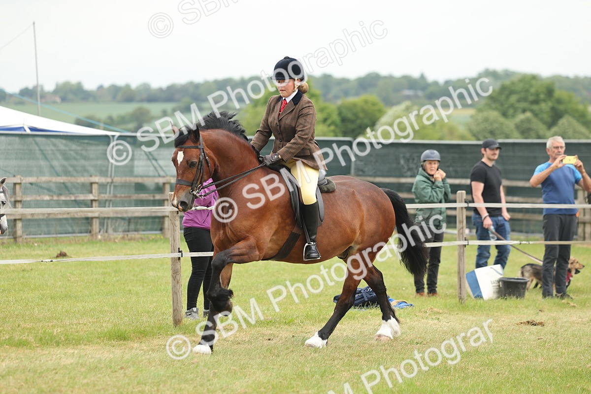 SBM_07210 - Class 76-77 - Ridden M&M Welsh Ponies
