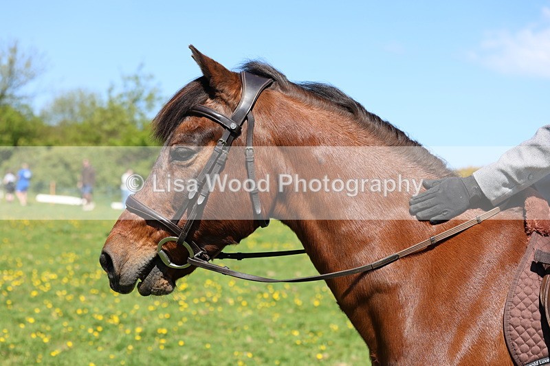 3E7A0131 - Class 4: Best Combination Junior