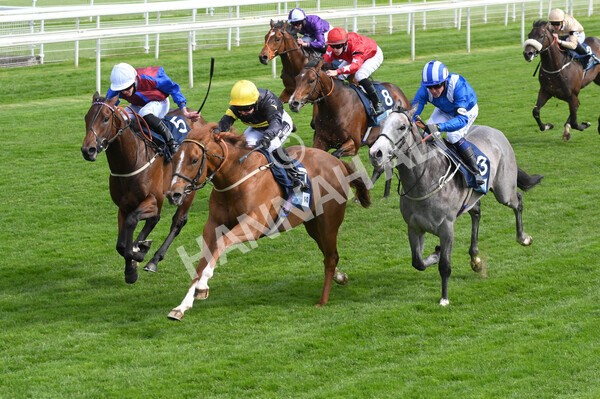 yr12052021r6-10 - Race 6 4.15pm British Stallion Studs EBF Novice Stakes